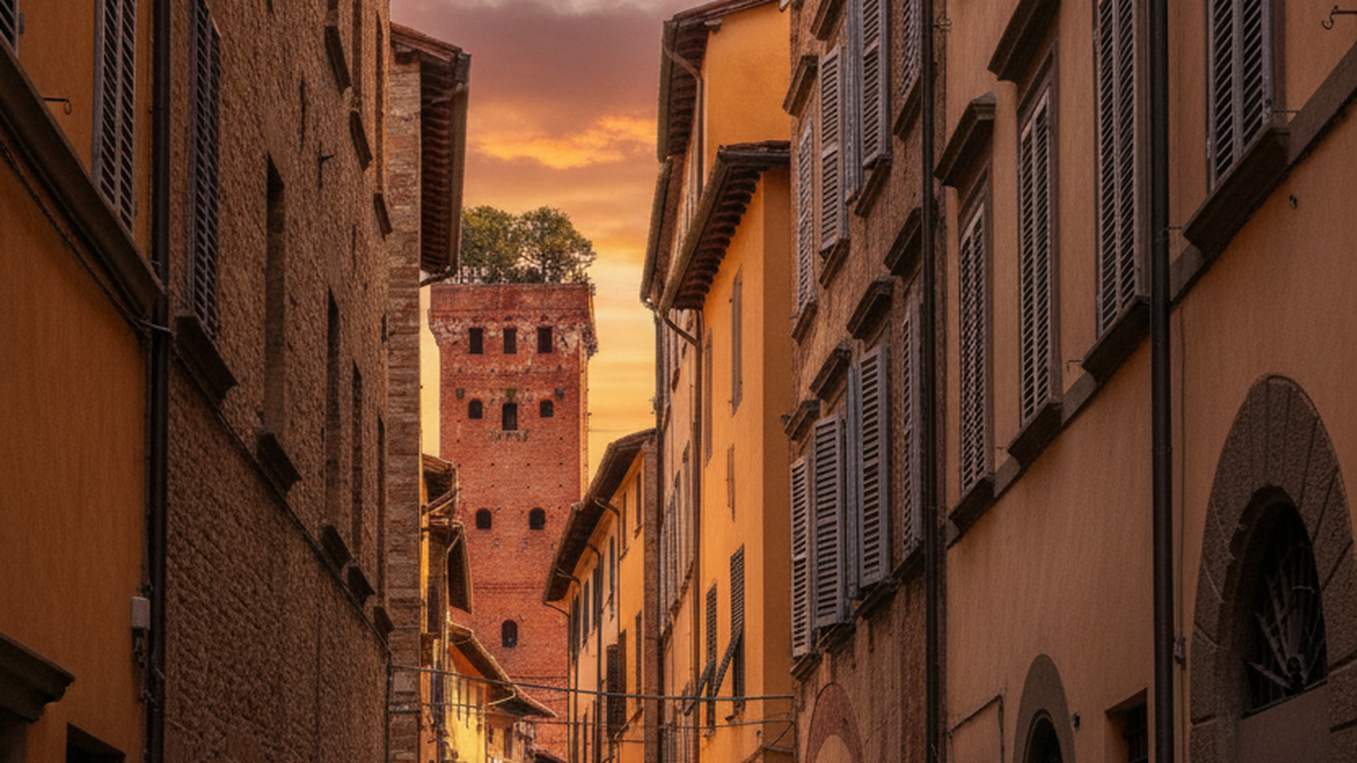 Torre Guinigi — Lucca